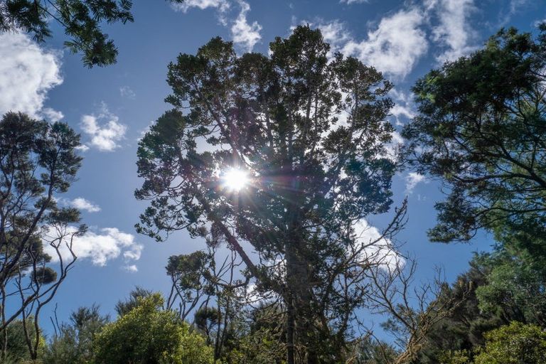 Photo of property in 9 Amelie Place, Coopers Beach, 0420