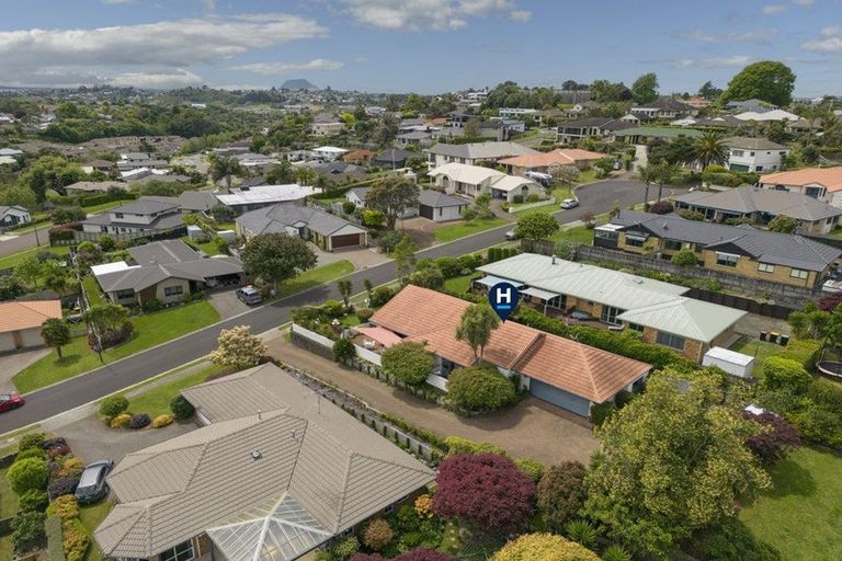 Photo of property in 10 Rochester Place, Bethlehem, Tauranga, 3110
