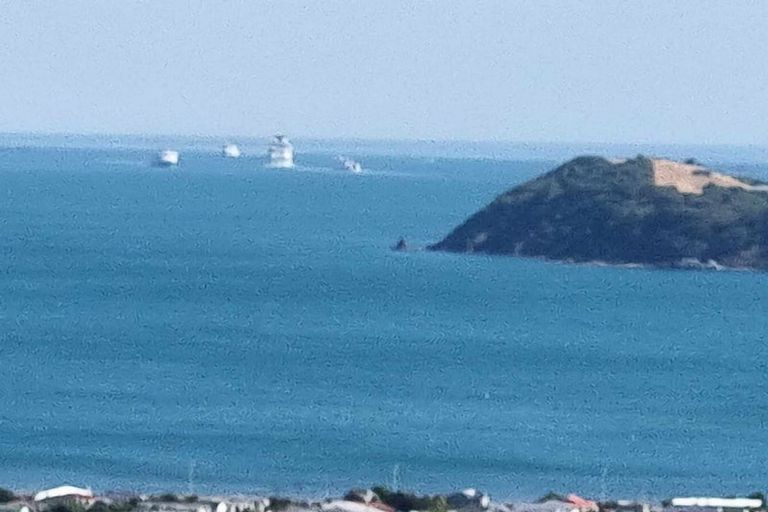 Photo of property in 7 Hibiscus Grove, Maungaraki, Lower Hutt, 5010