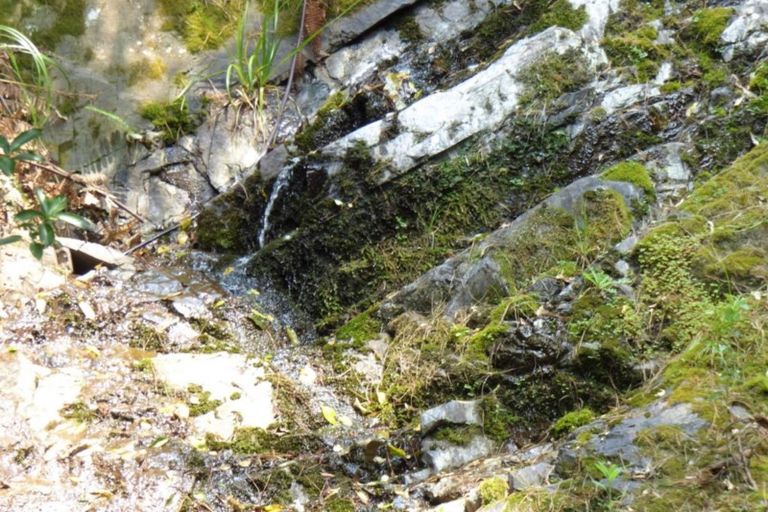 Photo of property in 340 Tutaetoko Road, Toatoa, Opotiki, 3197