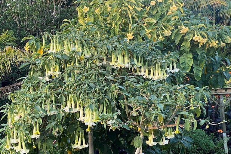 Photo of property in 289 Rapson Road, Kaukapakapa, 0871