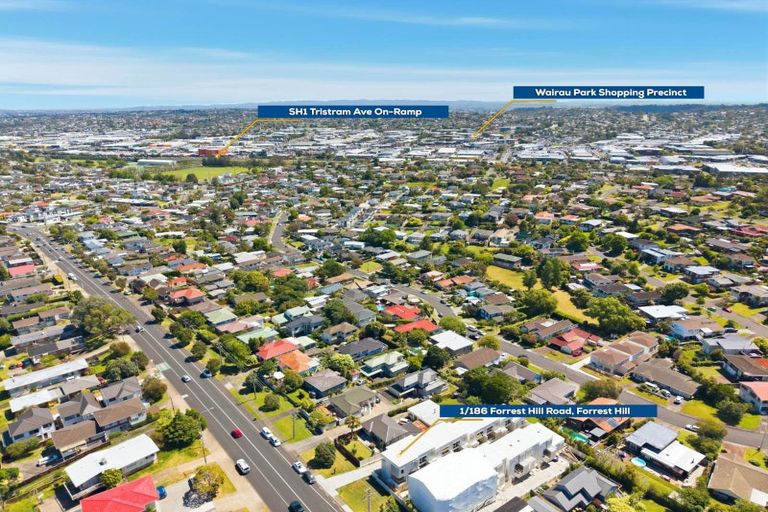 Photo of property in 1/186 Forrest Hill Road, Forrest Hill, Auckland, 0620
