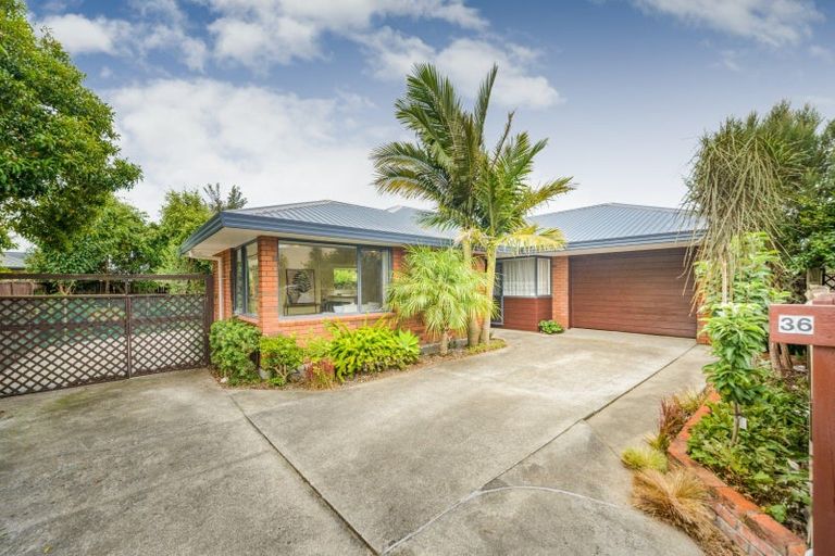 Photo of property in 36 Beresford Street, Takaro, Palmerston North, 4410