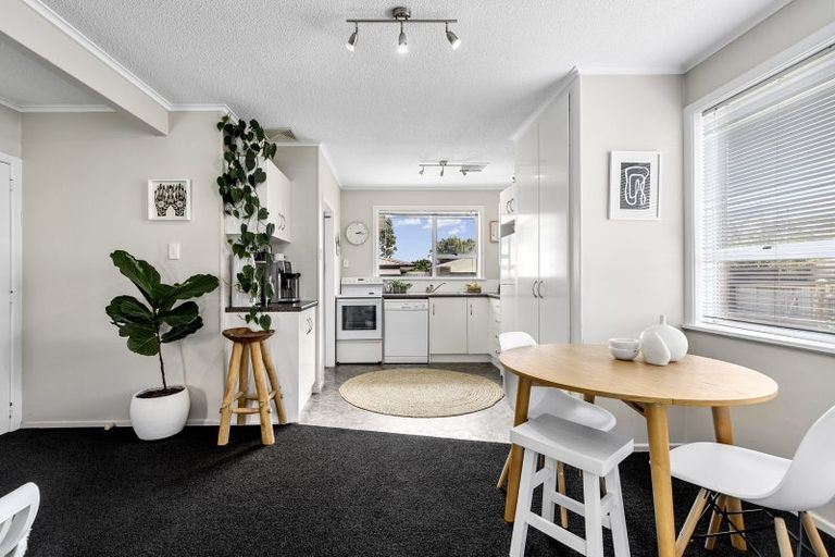 Photo of property in 14 Lodge Avenue, Mount Maunganui, 3116