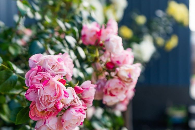 Photo of property in 37 Station Road, Dargaville, 0310