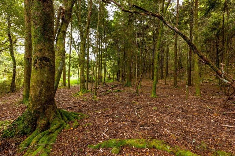 Photo of property in 1037 Puketotara Road, Okaihau, 0475