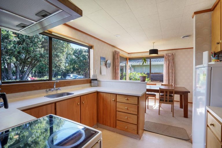 Photo of property in 557a Ruahine Street, Hokowhitu, Palmerston North, 4410