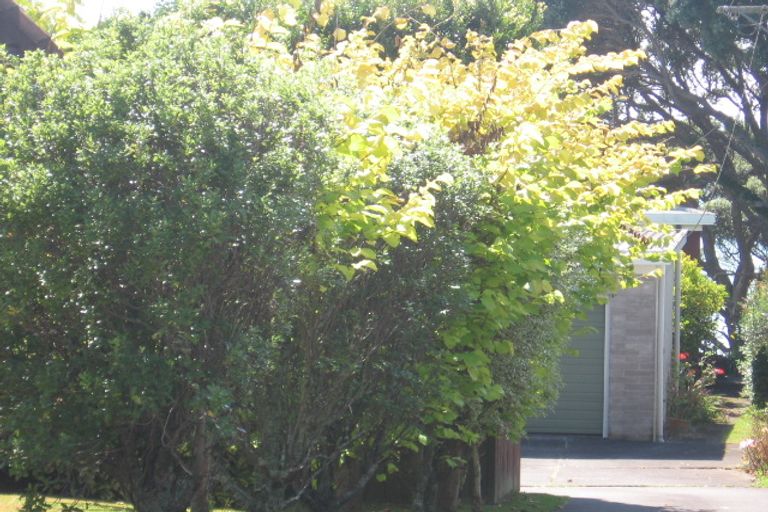 Photo of property in 25 Bournemouth Terrace, Murrays Bay, Auckland, 0630