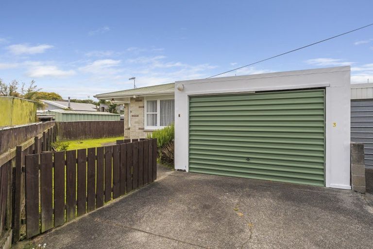 Photo of property in 3 Alice Place, Levin, 5510