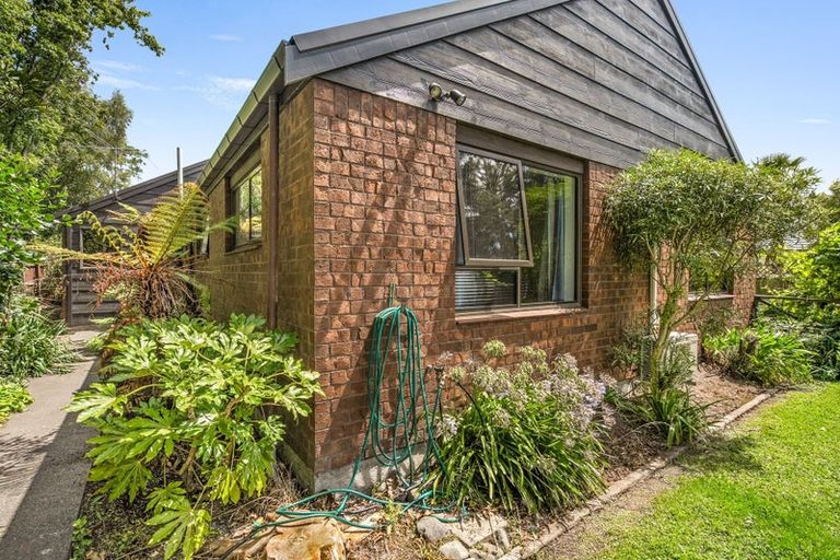 Photo of property in 54 Buckleys Road, Rangiora, 7400