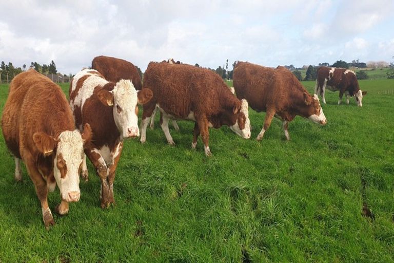 Photo of property in 412b Corbett Road, Lepperton, New Plymouth, 4373