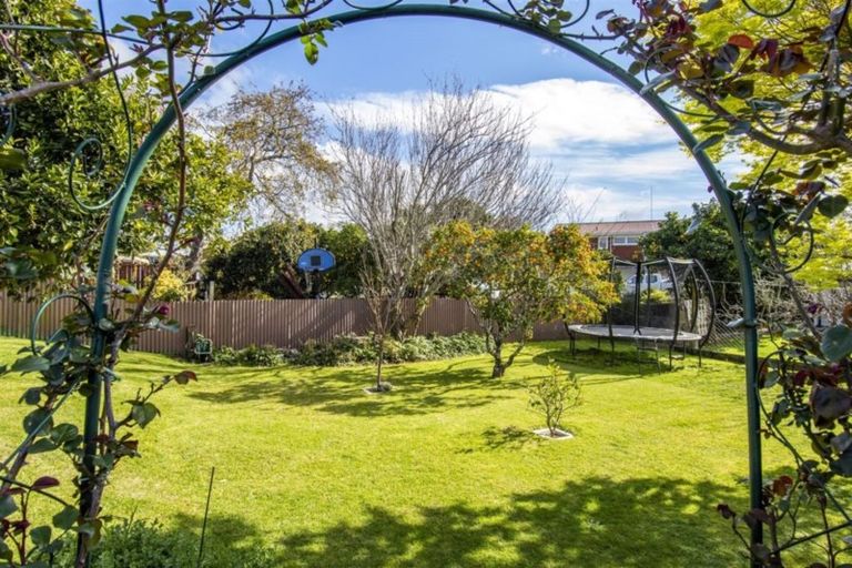 Photo of property in 18 Vine Avenue, Maungatapu, Tauranga, 3112