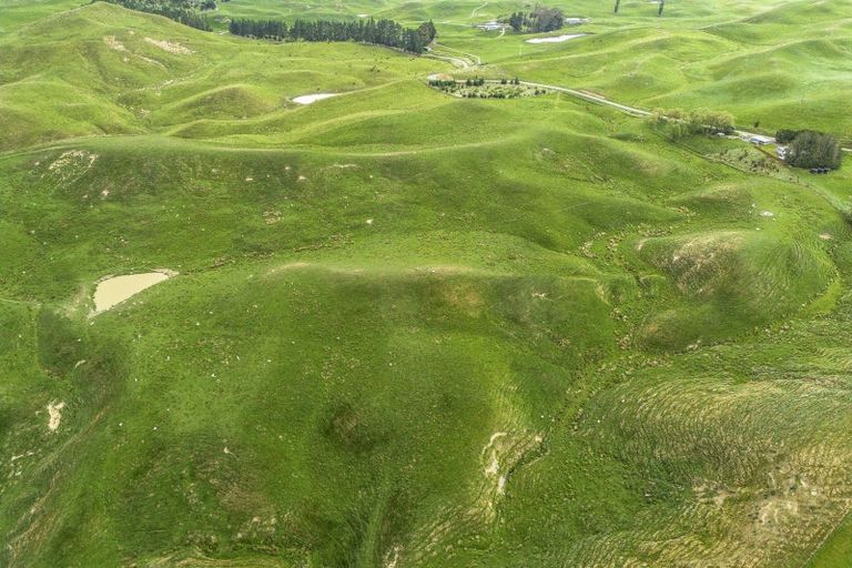 Photo of property in 209 Pattison Road, Akina, Hastings, 4122