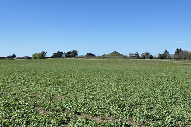 Photo of property in 470 Fortification Road, Totara, Oamaru, 9495