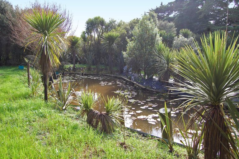 Photo of property in 210a Pukenui Road, Kaiwaka, 0573