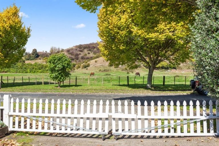 Photo of property in 59 Hardie Avenue, Kawerau, 3127