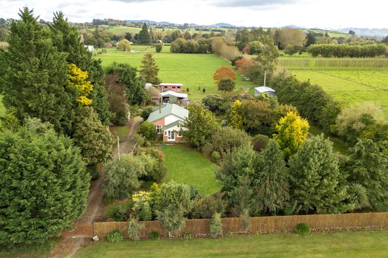 Photo of property in 99 Templer Street, Geraldine, 7992