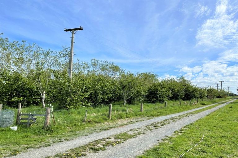 Photo of property in 25 Newport Street, Milton, 9220