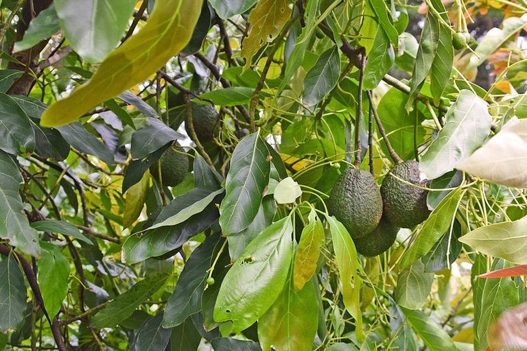 Photo of property in 1 Journeys End, Tapora, Wellsford, 0977