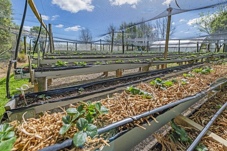 Photo of property in 1520 Tram Road, Swannanoa, Rangiora, 7475