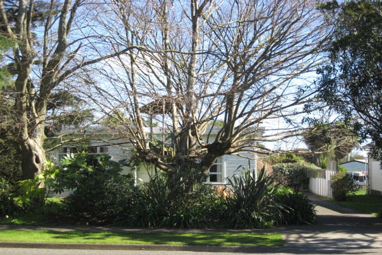Photo of property in 67 Queenwood Road, Levin, 5510