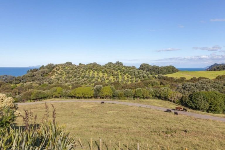 Photo of property in 435 Onemana Drive, Onemana, Whangamata, 3691