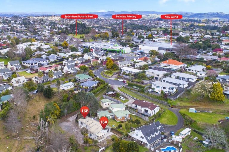 Photo of property in 16a Russell Place, Brookfield, Tauranga, 3110