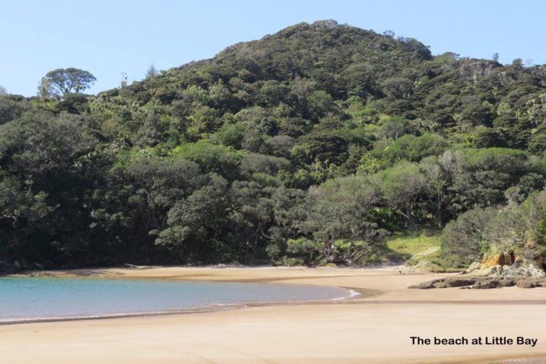 Photo of property in 17 Little Bay Drive, Waikawau, Coromandel, 3584