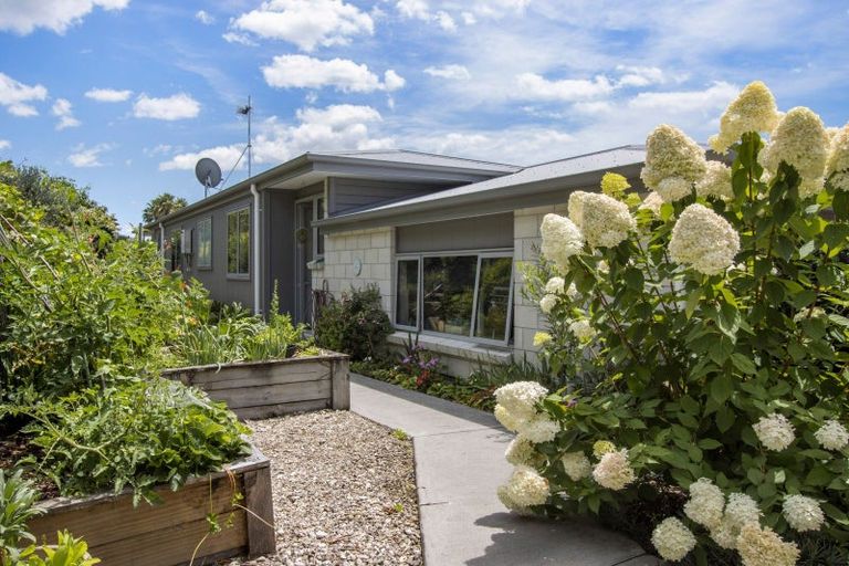 Photo of property in 159 Margaret Drive, Omokoroa, 3114