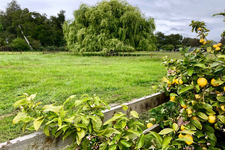 Photo of property in 821 Parallel Road, Ohaupo, 3881