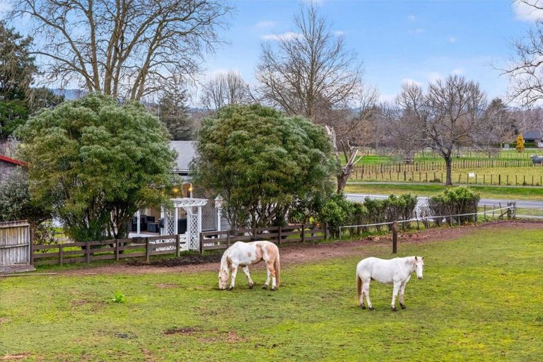 Photo of property in 203 Lamb Street, Leamington, Cambridge, 3432