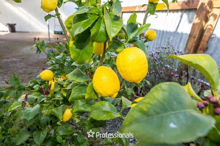 Photo of property in 801 Fergusson Drive, Elderslea, Upper Hutt, 5018