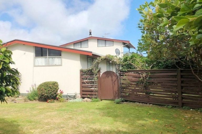 Photo of property in 125 Tiro Tiro Road, Levin, 5510