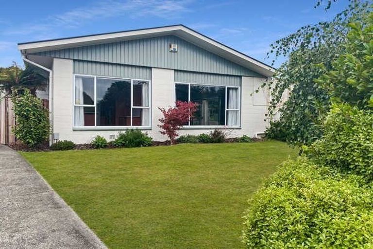 Photo of property in 19 Renwick Place, Hillmorton, Christchurch, 8025