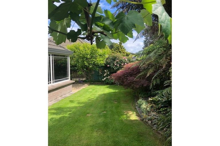 Photo of property in 29 Hillcrest Street, Tirau, 3410