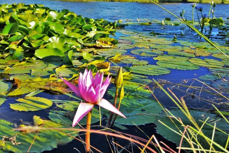 Photo of property in 14 Judd Place, Orewa, 0931