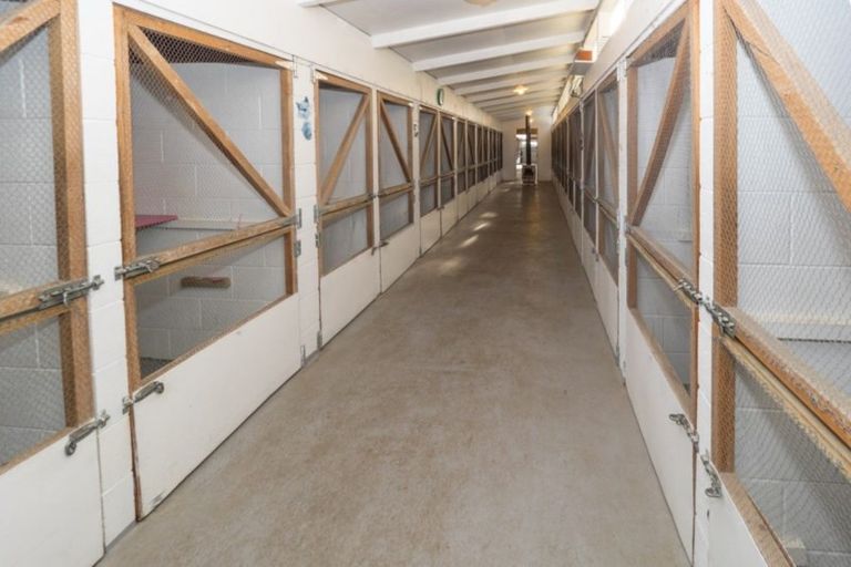 Photo of property in 1241 Rakaia Highway, Chertsey, Ashburton, 7772