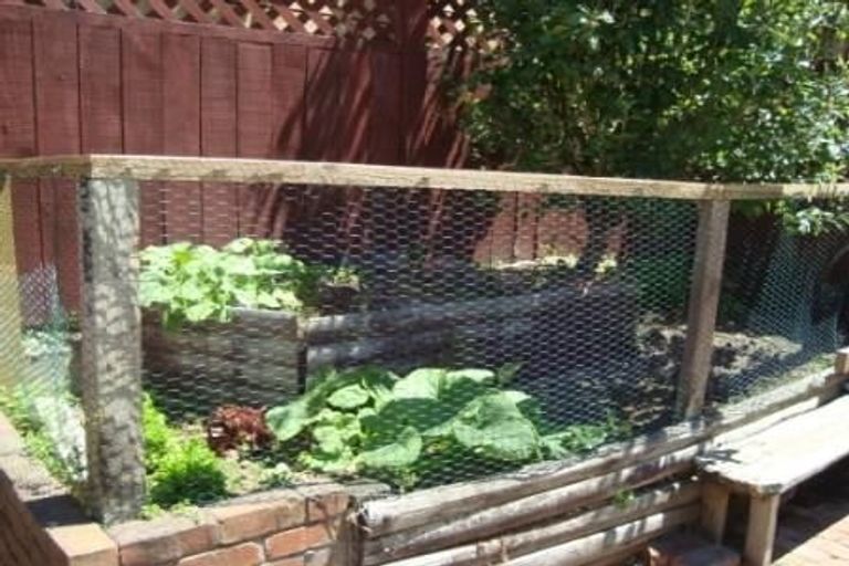 Photo of property in 59 Aro Street, Aro Valley, Wellington, 6021