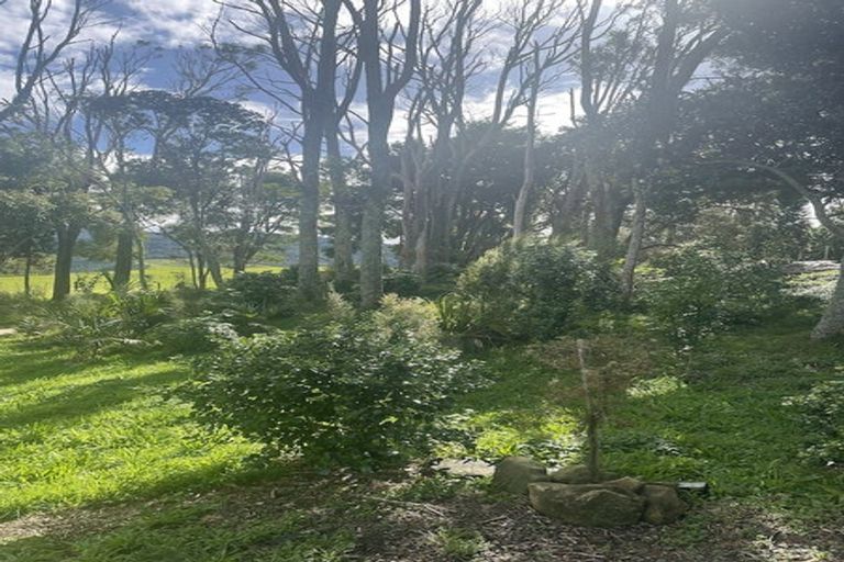 Photo of property in 47 Orchard Lane, Mangawhai, Kaiwaka, 0573