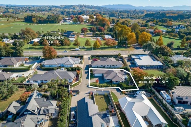 Photo of property in 5 Avocado Lane, Bethlehem, Tauranga, 3110