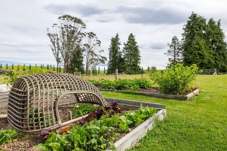 Photo of property in 285 Waihaorunga Road, Waihaorunga, Waimate, 7977