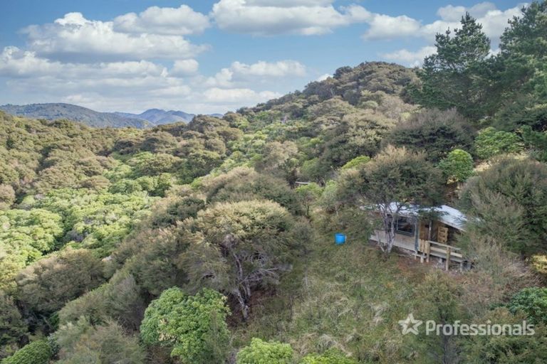 Photo of property in 91 Boar Bush Gully Road, Featherston, 5710