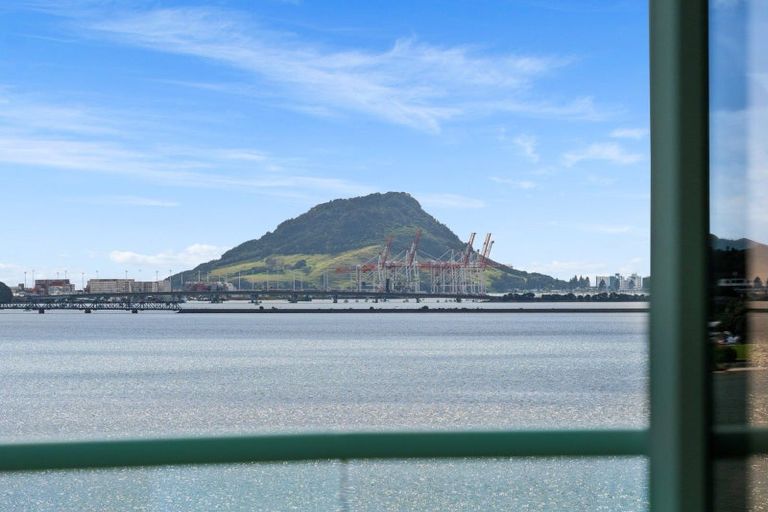 Photo of property in 292a Maungatapu Road, Maungatapu, Tauranga, 3112