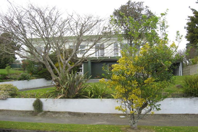 Photo of property in 25 Lancaster Street, Levin, 5510