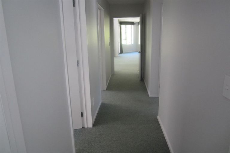 Photo of property in 543 Rutherglen Road, Marsden, Greymouth, 7872