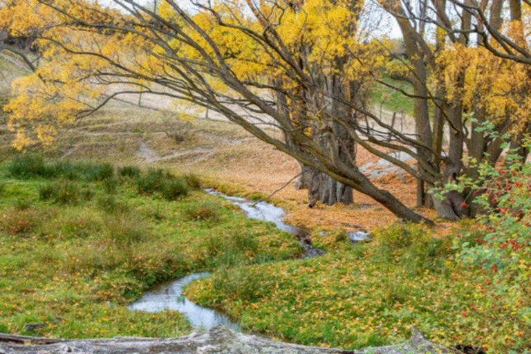 Photo of property in 192 Heaney Road, Cromwell, 9384