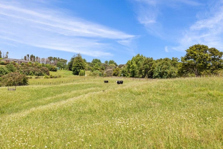 Photo of property in 306 Oneriri Road, Kaiwaka, 0573