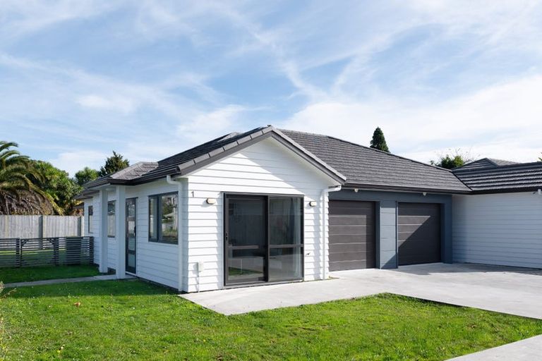 Photo of property in 1/77 Fifth Avenue, Hamilton, 3214