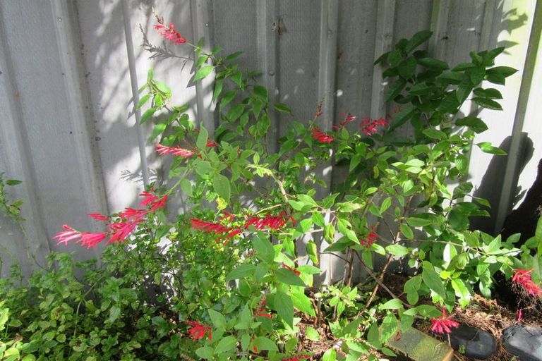 Photo of property in 81 Ward Street, Cobden, Greymouth, 7802