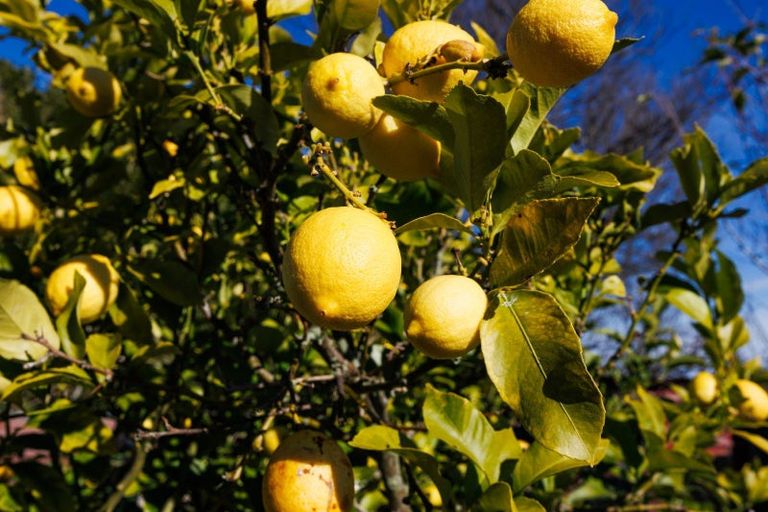 Photo of property in 2 Ngahina Street, Marton, 4710